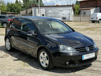 Volkswagen Golf *1.4 benz*MPI*edition*klimatronik*nowy rozrząd* Dąbrowa - zdjęcie 12