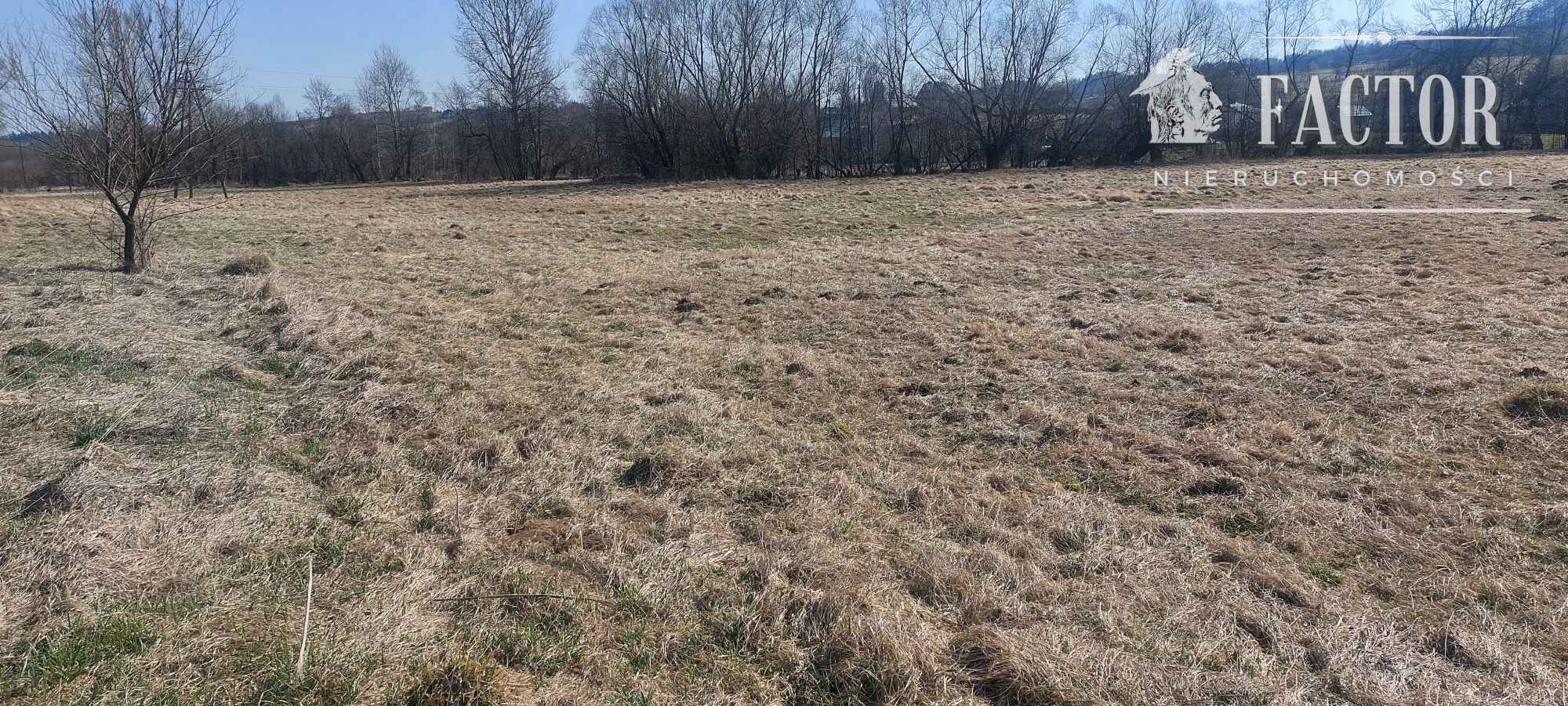 Działka rolna 1,3 ha w Racławicach – potencjał pod OZE 1189S/2026 Racławice - zdjęcie 4