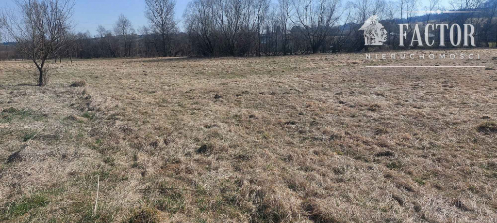 Działka rolna 1,3 ha w Racławicach – potencjał pod OZE 1189S/2026 Racławice - zdjęcie 4