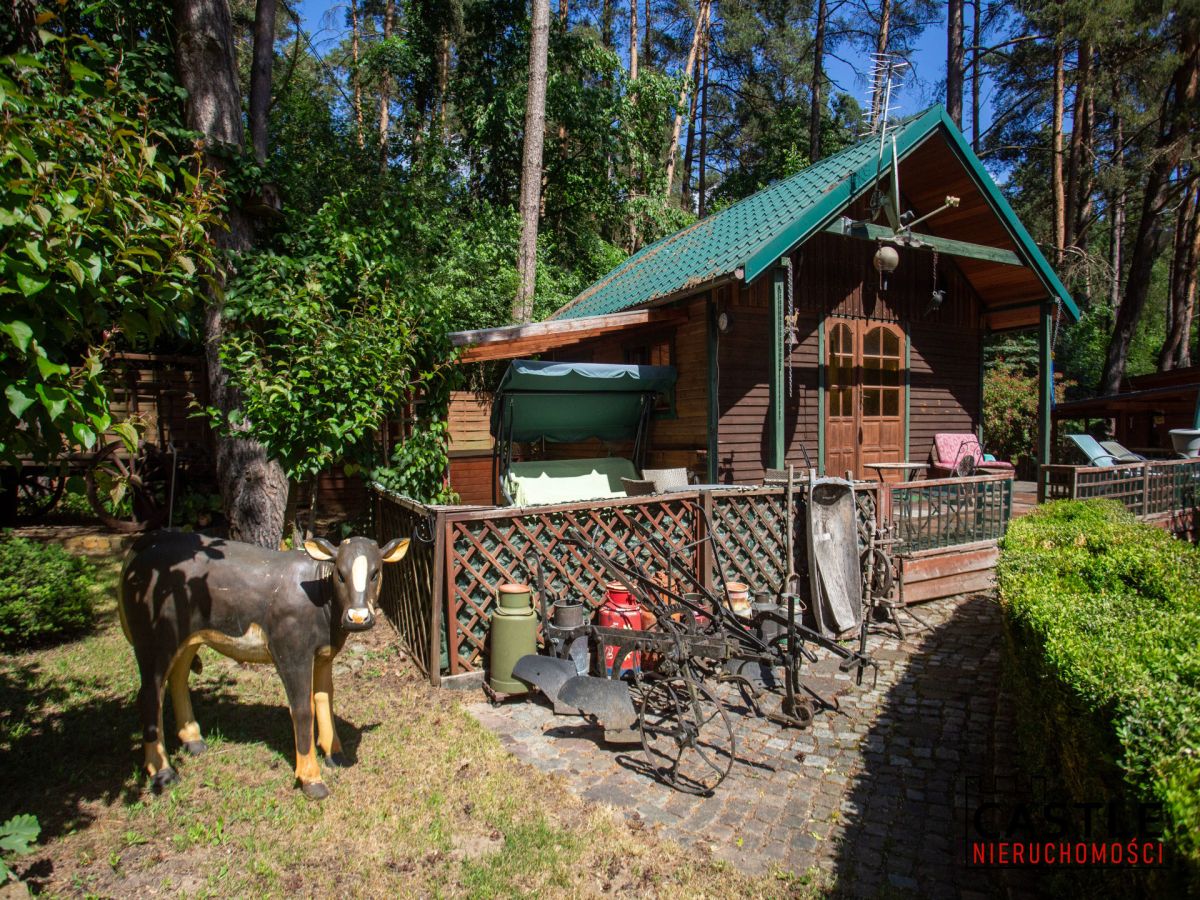 Borkowo | 4 pokoje | Las tuż za furtką Borkowo - zdjęcie 5