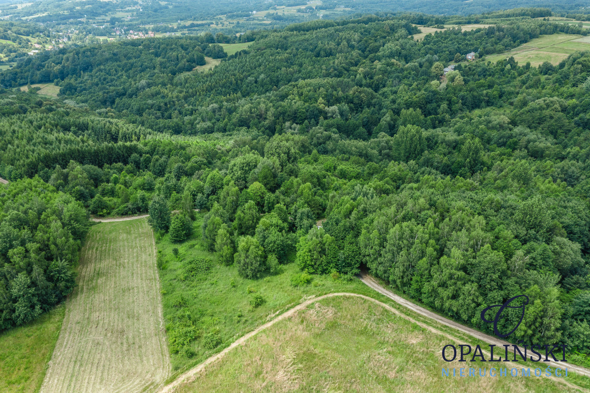 20 km od Rzeszowa | 0.39 ha | Zielona okolica Straszydle - zdjęcie 10