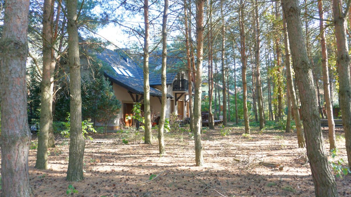 Zamieszkaj pod lasem Kalina - zdjęcie 6