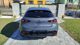 Carbon Version 2,5 benzyna automat 4x4 Turek - zdjęcie 3