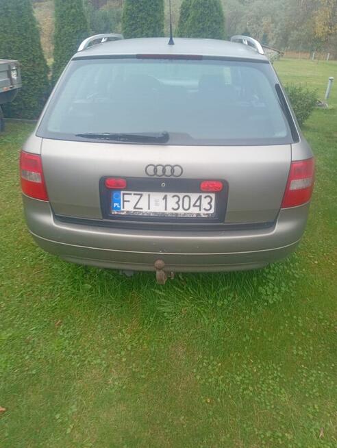 Audi A6 1998 Niwiska - zdjęcie 2