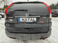 Honda CR-V Super stan*Oryginał Bydgoszcz - zdjęcie 3
