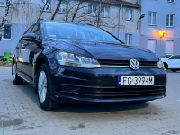 Volkswagen Golf VII 1.0 TSI Alu Klima Tempomat Grzane fotele Gorzów Wielkopolski - zdjęcie 3