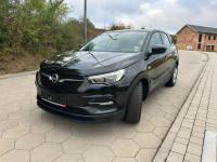 Opel Grandland X Opłacony Mały przebieg LED TOP Gostyń - zdjęcie 3