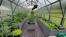 Mocna Szklarnia Victoria, wysokość: 2,50m, profil: 40x40mm