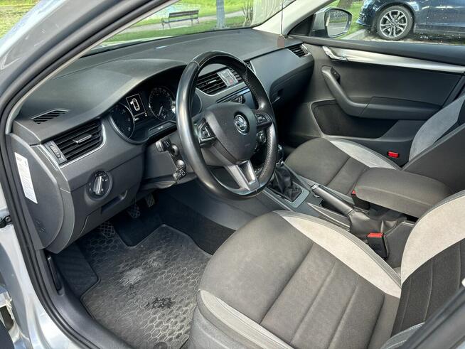 Spshedam Grodzisk Wielkopolski - zdjęcie 9