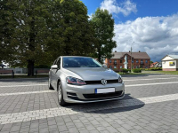 Volkswagen Golf VII 1,6 TDI 105KM Led Navi Klimatronik Bliżyn - zdjęcie 2
