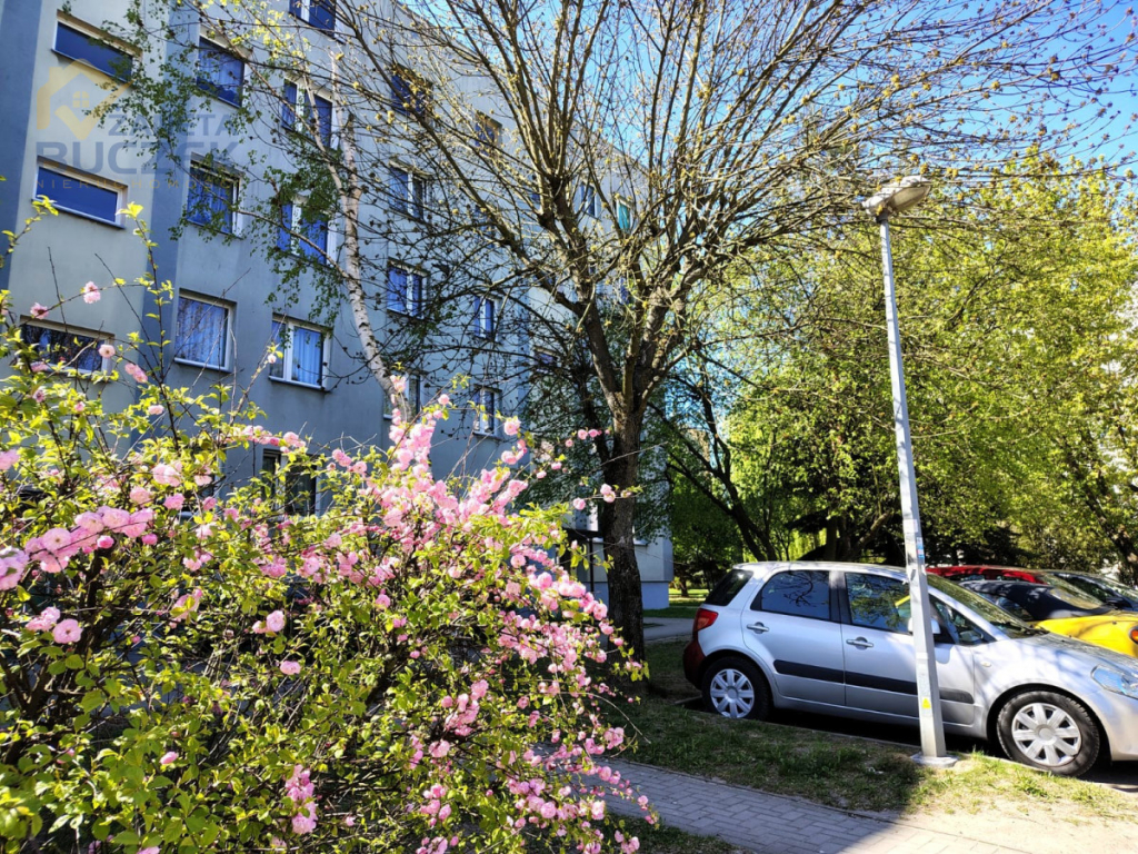 Sprzedam 3-pokojowe mieszkanie w Sochaczewie Sochaczew - zdjęcie 4