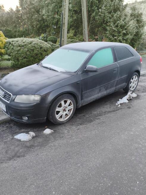 Audi A3 rok prod. 2004 Szczecin - zdjęcie 1
