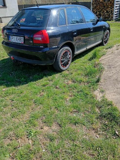 Audi A3 1.6 benzyna hak Opoczno - zdjęcie 7