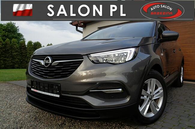 Opel Grandland X serwis ASO, Full Led, nawigacja, FV23% Rydułtowy - zdjęcie 2