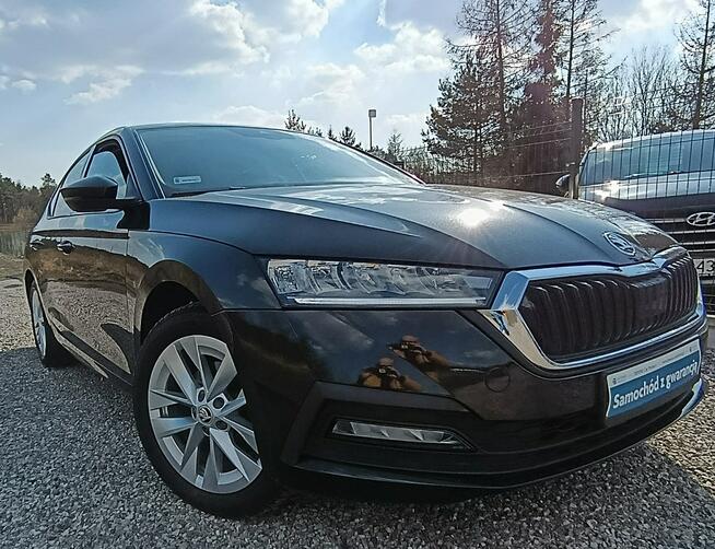 Škoda Octavia Leed  , Kamera ,Mały przebieg Serwis Dulowa - zdjęcie 10