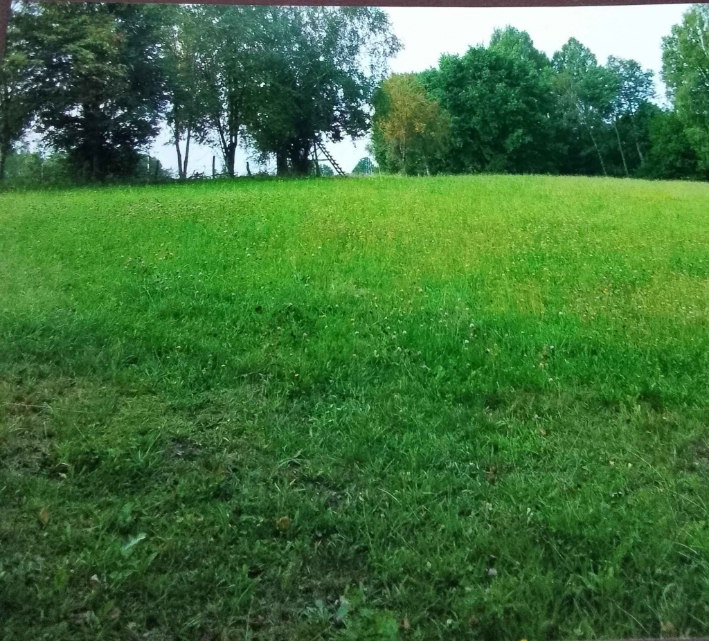 Ziemię na Warmii i Mazurach sprzedam Olsztyn - zdjęcie 3