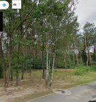 Udział w nieruchomości (ok.630mkw) Działka Leśna z drzewostanem!