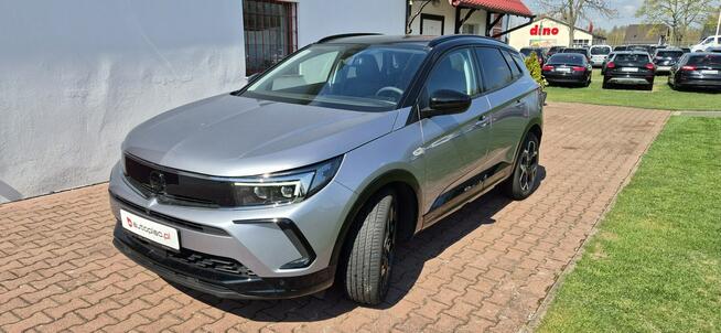 Opel Grandland SALON-BEZWYPADKOWY-BOGATA WERSJA Paproć - zdjęcie 4