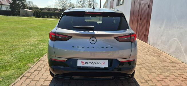 Opel Grandland SALON-BEZWYPADKOWY-BOGATA WERSJA Paproć - zdjęcie 8