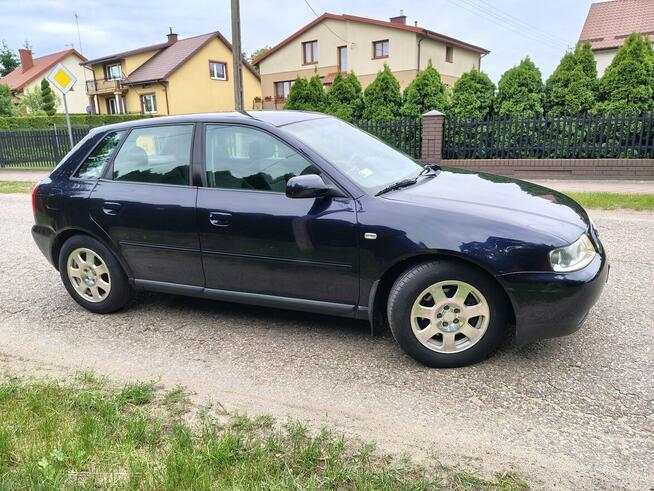 Audi A3 8L LIFT *5drzwi* 1.8 Turbo* 4900zł Ostrołęka - zdjęcie 5