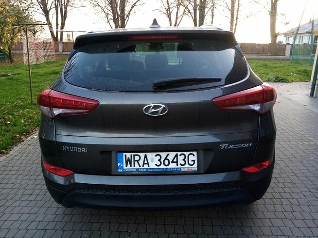 Sprzedam Pionki - zdjęcie 3