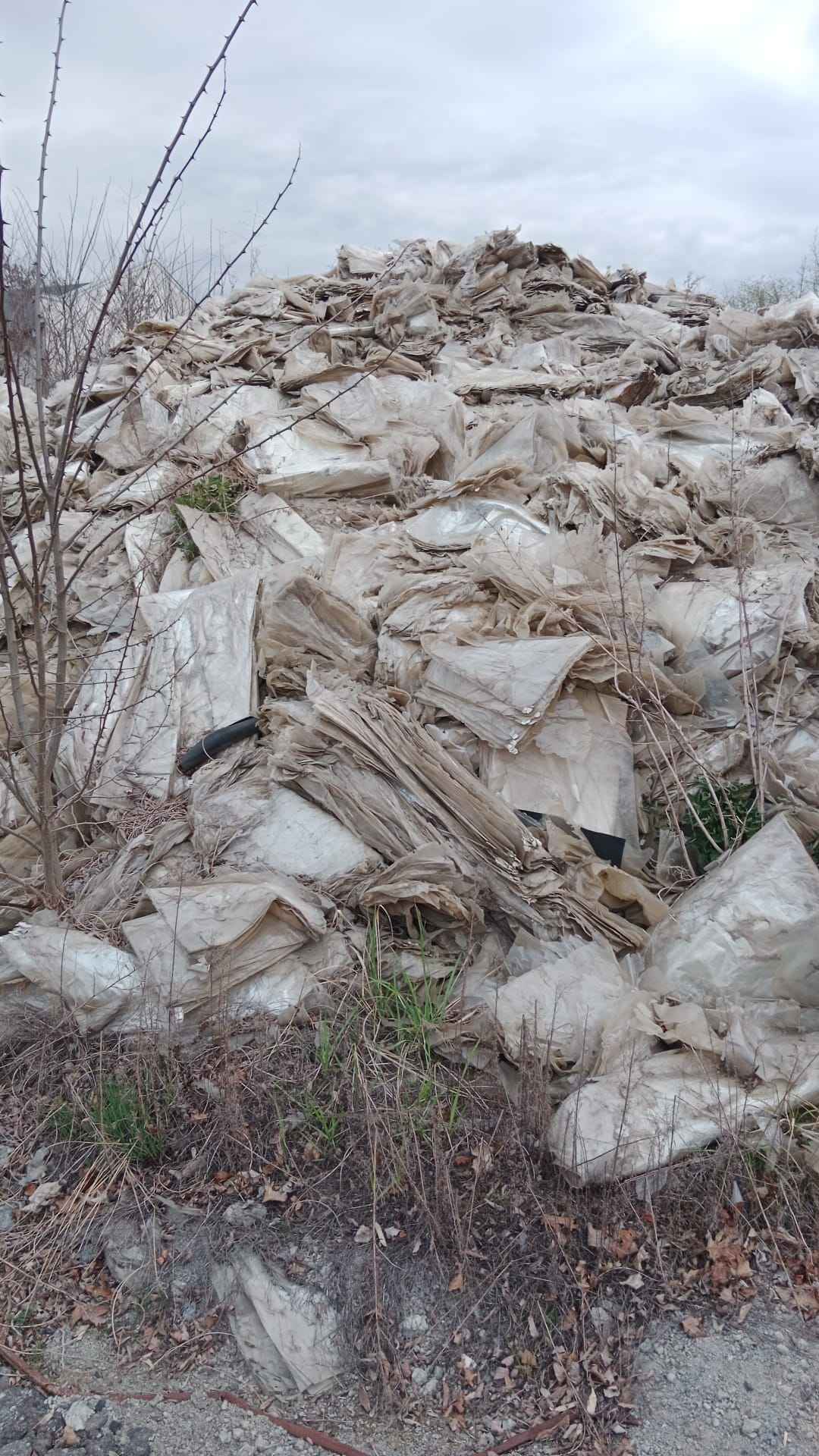 Oddam za darmo folię , tworzywa sztuczne Brzeg - zdjęcie 3