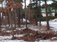 Działki  na sprzedaż  , Leśno  budowlane Marynino - zdjęcie 10