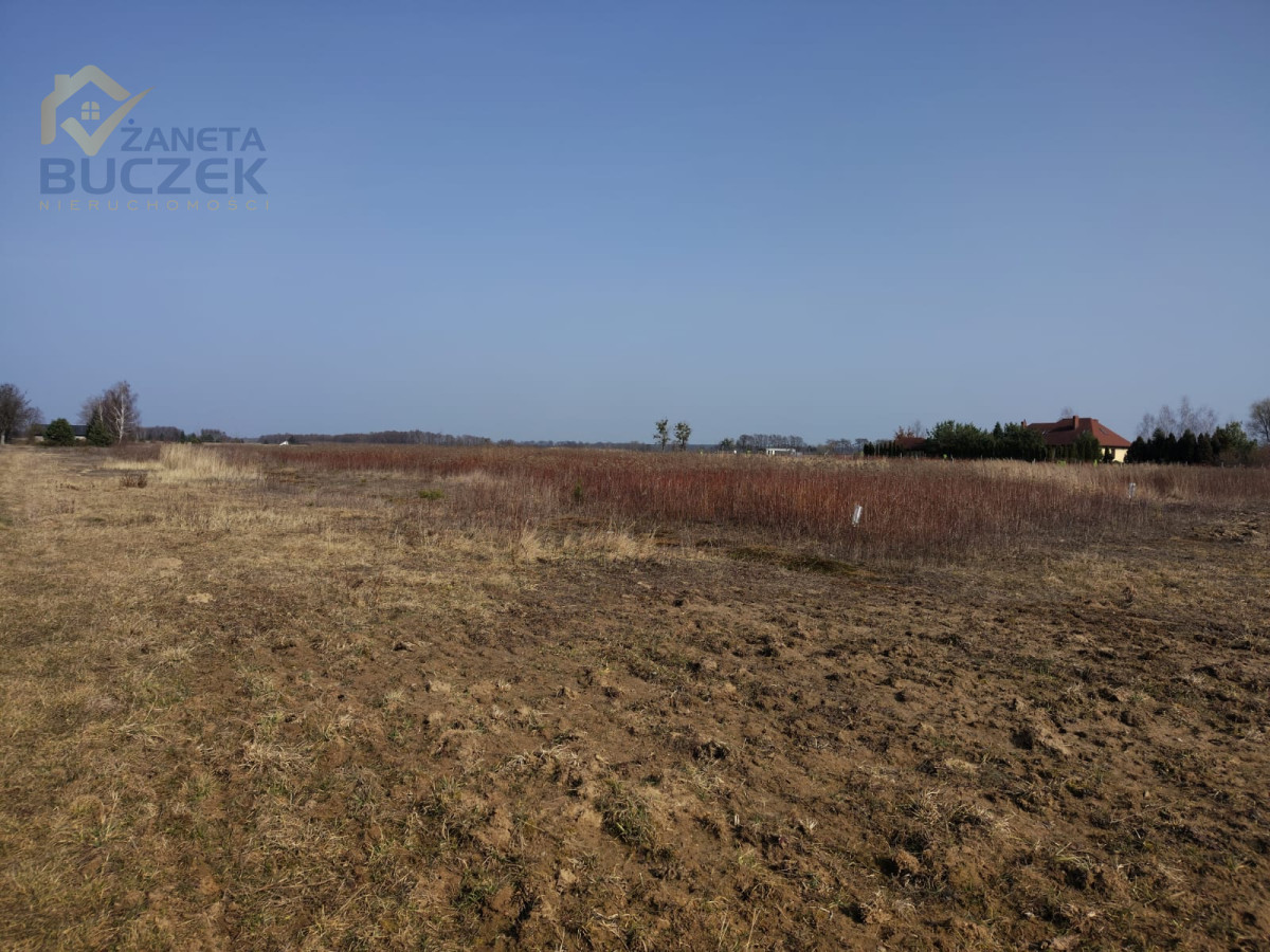 Sprzedam działki z WZ w Skarbikowie Skarbikowo - zdjęcie 9