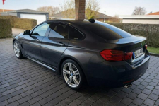 BMW 420 Sadlno - zdjęcie 5