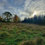 Działka budowlana Nieborów powiat łowicki Nieborów - zdjęcie 3