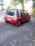 Auto miejskie Gubin - zdjęcie 7