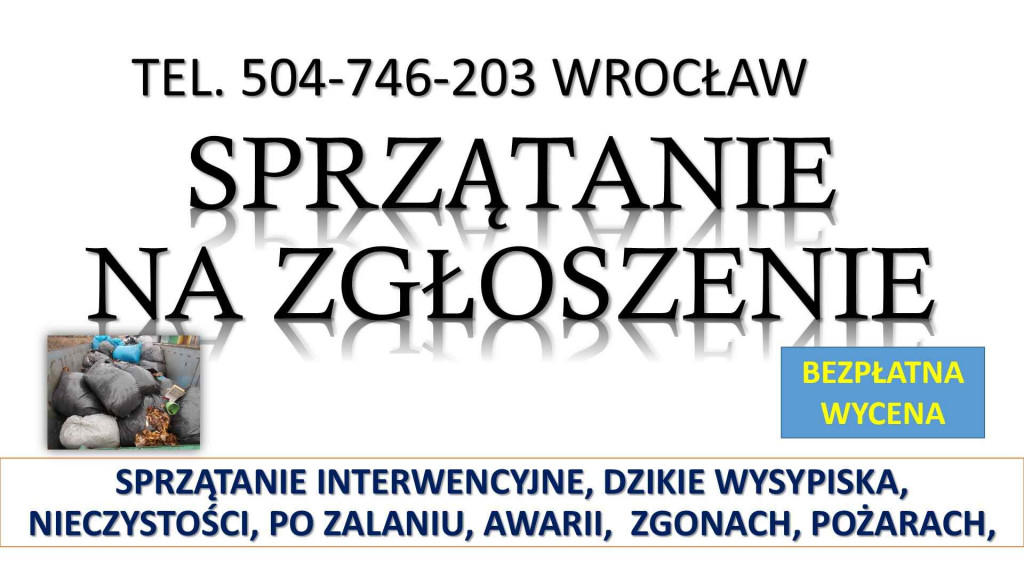 Sprzątanie interwencyjne, t. 504746203, Wrocław, z podrzuconych śmieci Psie Pole - zdjęcie 1