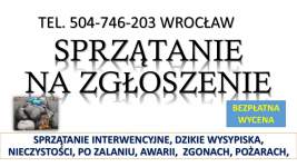 Sprzątanie interwencyjne, t. 504746203, Wrocław, z podrzuconych śmieci Psie Pole - zdjęcie 1
