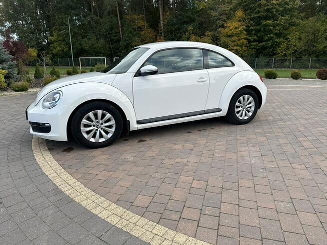 Volkswagen Beetle Lipówki - zdjęcie 5
