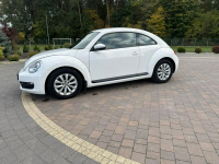 Volkswagen Beetle Lipówki - zdjęcie 5