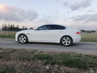 Jaguar XE 2015r Kielce - zdjęcie 9