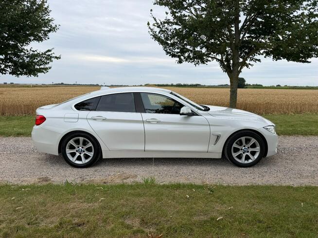 BMW 420 Sadlno - zdjęcie 4