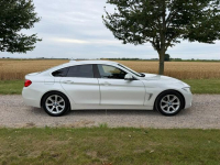 BMW 420 Sadlno - zdjęcie 4