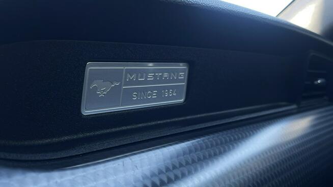 Ford Mustang 5.0 GT Manual Wentyle - Gwarancja Raty Zamiana - Gdynia - zdjęcie 10
