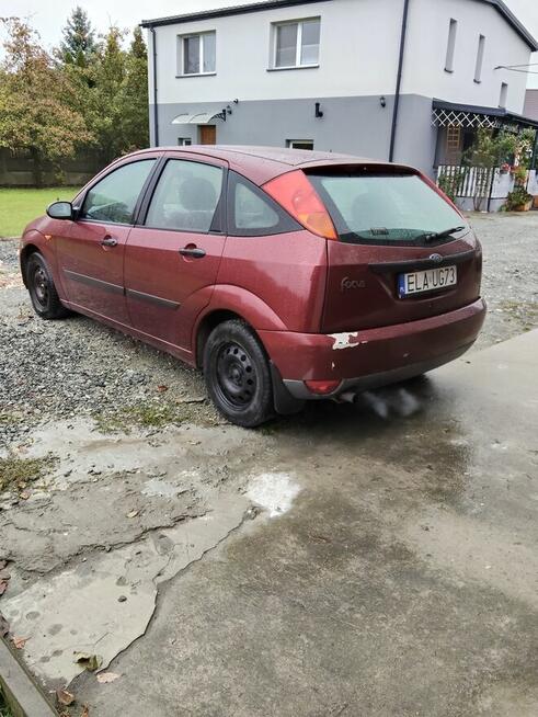 Tania Foczka Brzyków - zdjęcie 2