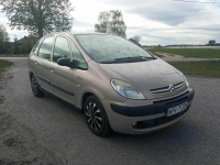 Citroen Xsara Picasso 1.6 WAŻNE OC I PT 09/2026 Grójec - zdjęcie 2