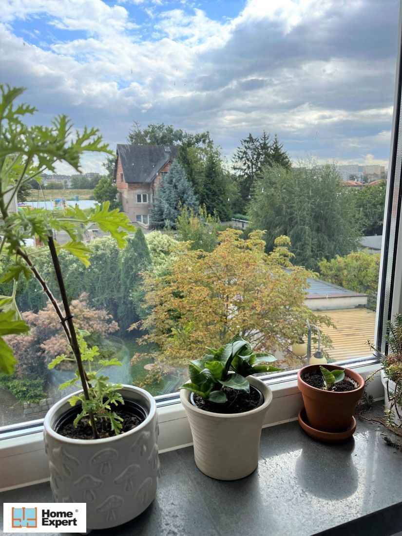 3pok, 72met, Okolice Zawalnej BALKON/KOMÓRKA/GARAŻ (Wrocław) Psie Pole - zdjęcie 8