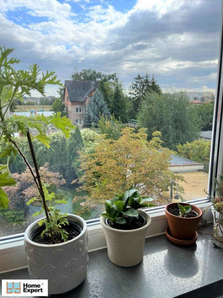 3pok, 72met, Okolice Zawalnej BALKON/KOMÓRKA/GARAŻ (Wrocław) Psie Pole - zdjęcie 8