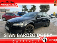 Audi A3 LIFT, Klimatronic 2-stref, Nawigacja, Bluetooth, Ele szyby 4x