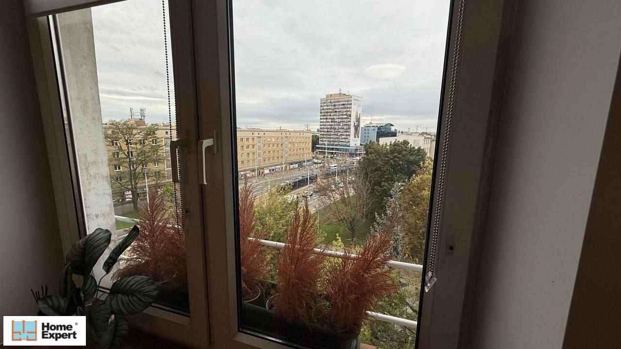 2pok, 47met, Okolice Placu Legionów PIWNICA/PARKING (Wrocław) Stare Miasto - zdjęcie 12