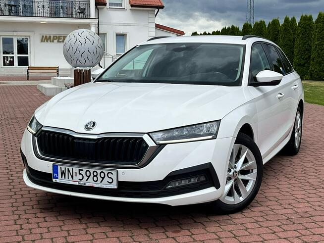 Octavia 2.0 TDI | 2023 | Serwis ASO | Salon PL | 116 KM | automat Nowe Iganie - zdjęcie 10