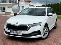 Octavia 2.0 TDI | 2023 | Serwis ASO | Salon PL | 116 KM | automat Nowe Iganie - zdjęcie 10