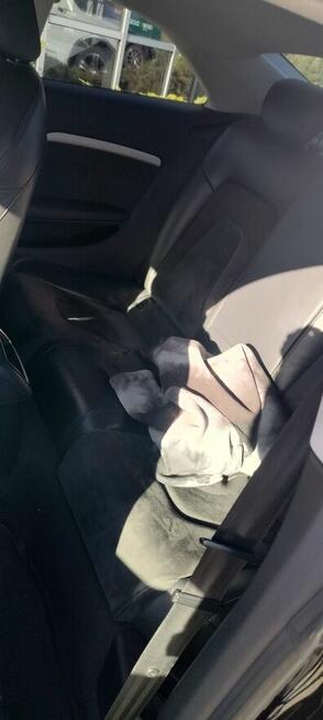 Sprzedam samochod Audi A5 Sandomierz - zdjęcie 8