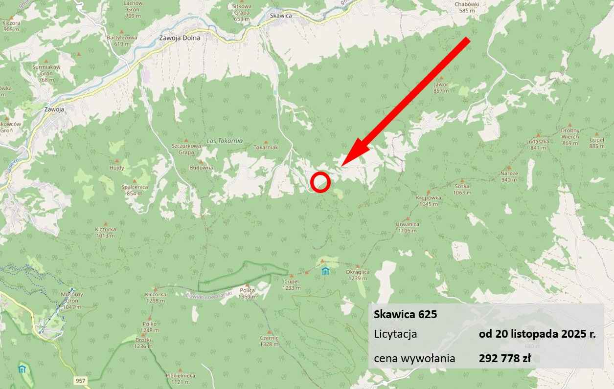 Dom w górach, Beskidy, licytacja Skawica - zdjęcie 1
