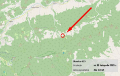 Dom w górach, Beskidy, licytacja